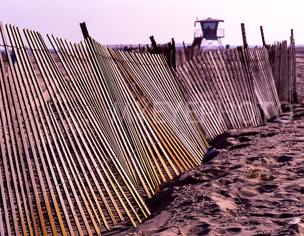 Beach Fencing, Armand Thomas